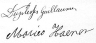 handtekening - Haanen Duplessis - 1911-3-29